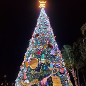 Meet your Posher, Sue